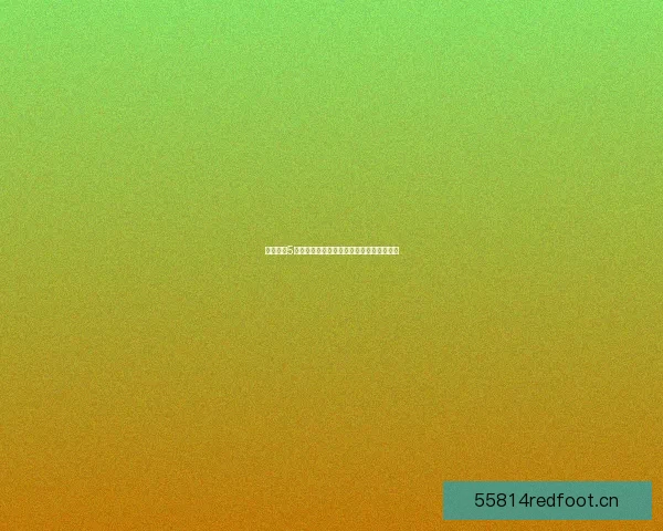 使命召唤5中文补丁安装教程及常见问题解答全面指南 使命召唤5中文补丁安装教程及常见问题解答全面指南